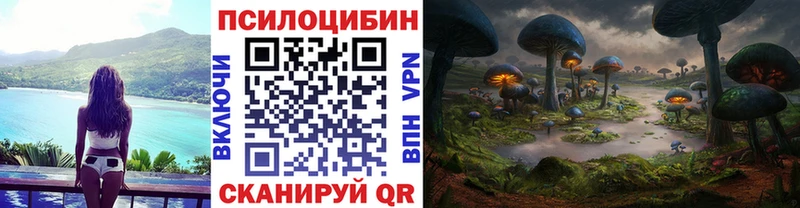 Купить где  Калачинск  Псилоцибиновые грибы Psilocybe 